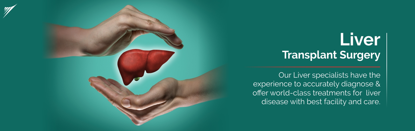 Pediatric Liver Transplant