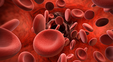 Blood Disorder – Role of Haematologists