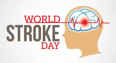 World Stroke Day 29th October : Up Again After Stroke