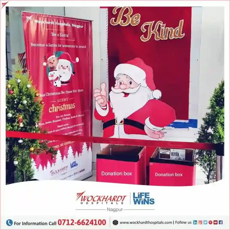 Be a Santa: Holiday Cheer to Orphan Kids