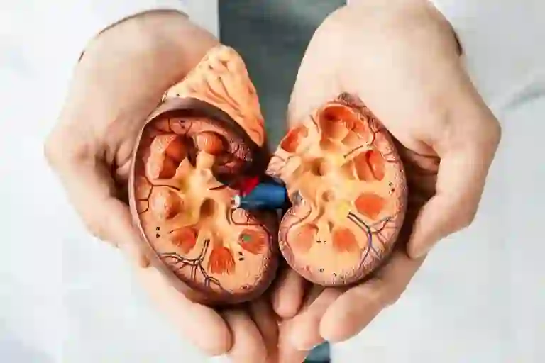 Acute kidney failure vs chronic kidney failure: Symptoms, Treatment, tips to keep kidney problems at bay