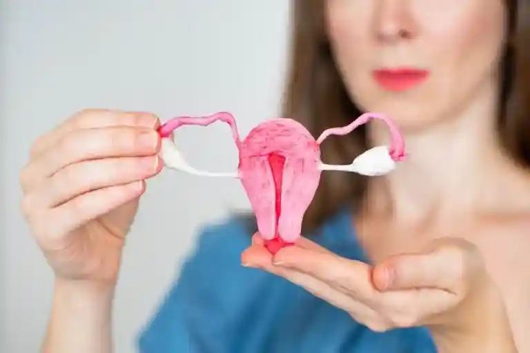 Uterine Cancer Diagnosis, Treatment & Surgery