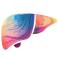Hepatology