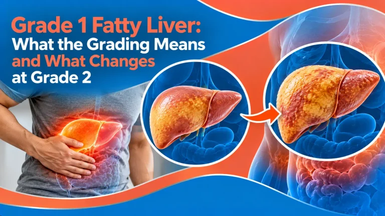 grade 1 fatty liver